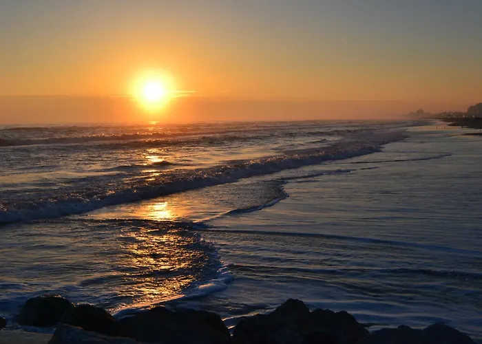 Riviera Nuova Gestione 酒店 卡托利卡