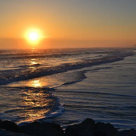 Riviera Nuova Gestione Hotel Cattolica